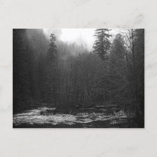 Postcard - Misty Salmon River, Oregon