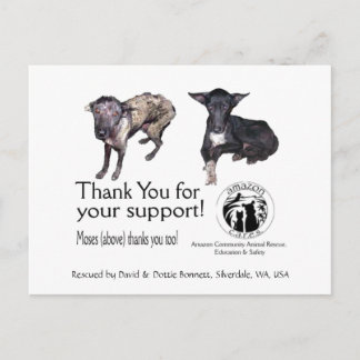 Postcard:  Moses, Before & After his Rescue Postcard