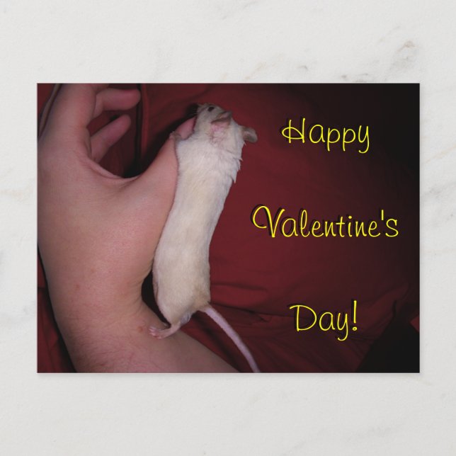 Postcard: Mouse Hug Valentine Holiday Postcard (Front)
