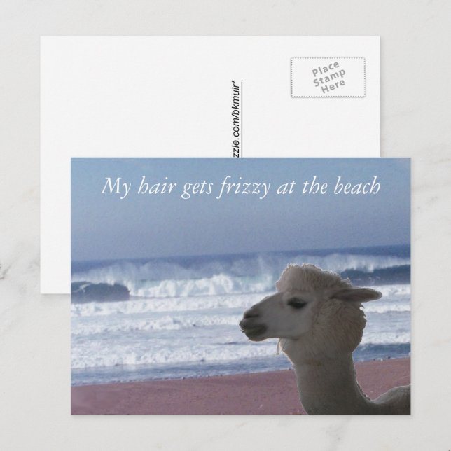 Postcard -  My Hair Gets Frizzy ... (Front/Back)