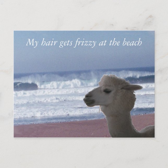 Postcard -  My hair gets frizzy ... (Front)