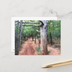 Postcard Nature Doorway and Trail