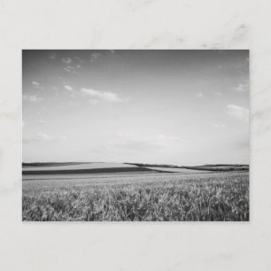 Postcard "Nature Patterns"