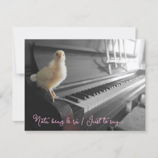 Postcard Nóta beag le rá / Just to say