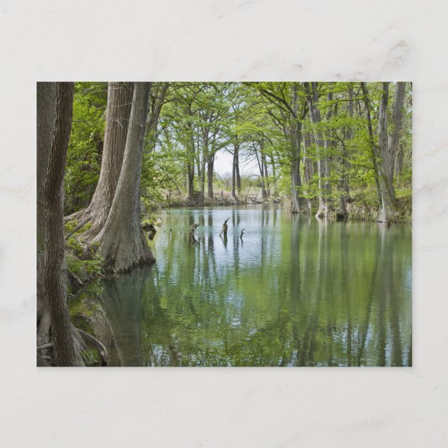 Postcard - "Oasis" (Front)