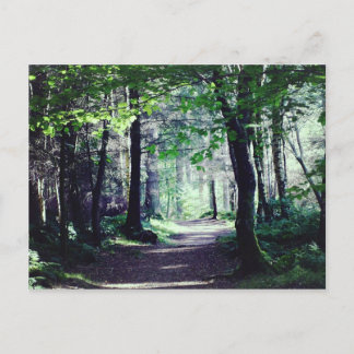 Postcard of a Woodland walk in Scotland.