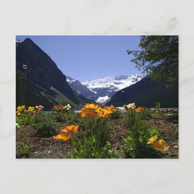 Postcard of Lake Louise (Front)