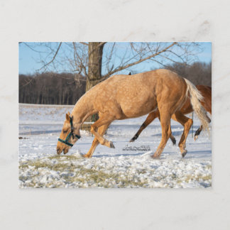 Postcard of Lugos getting take-out