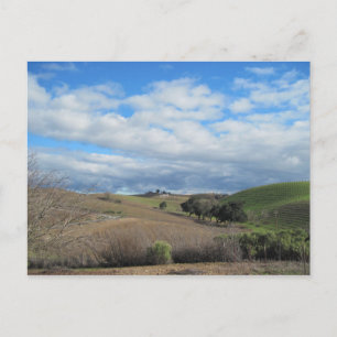 Postcard of Paso Robles Vineyard in January