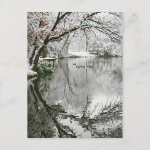 Postcard of Winter Scenery