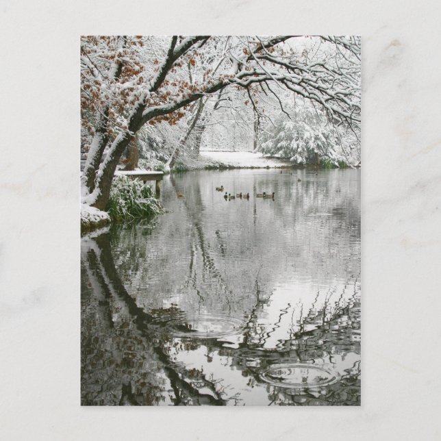 Postcard of Winter Scenery (Front)