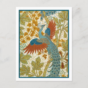 Postcard -Peacock