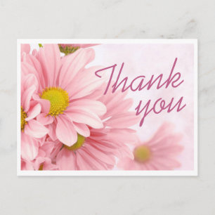 Postcard - Pink Daisy Thank You