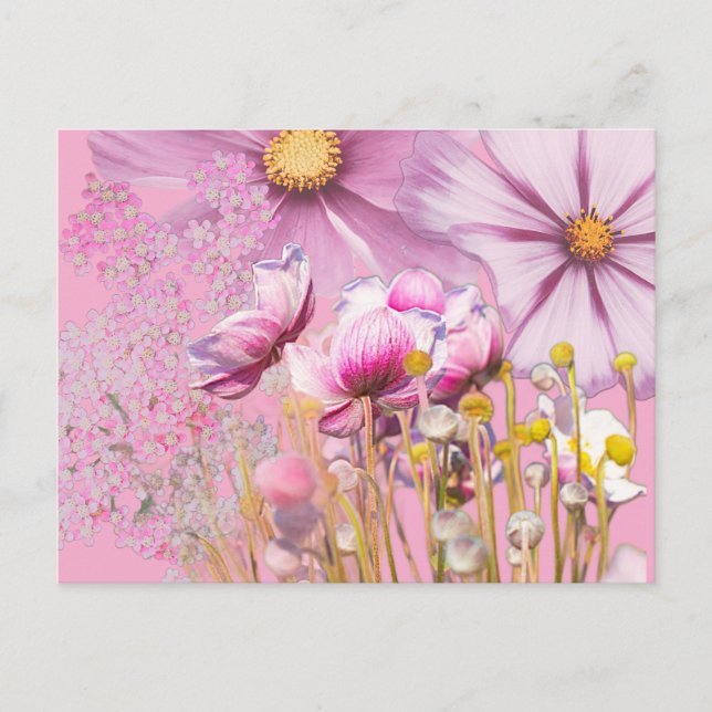 Postcard Postcard Flowers, pink (Front)