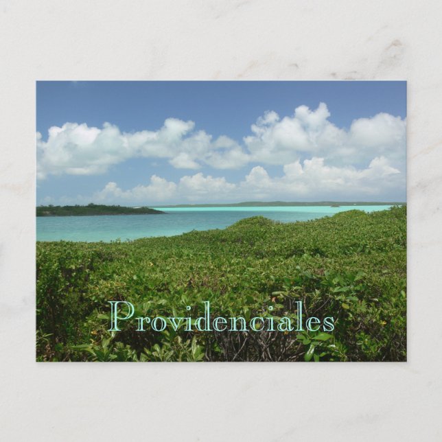 postcard, "PROVIDENCIALES/TURKS & CAICOS ISLANDS" Postcard (Front)