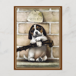 Postcard: "Puppy, 4 Weeks Old" Postcard