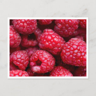 Postcard - Raspberries