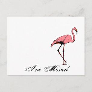 Postcard Retro I've Moved New Address Flamingo PC