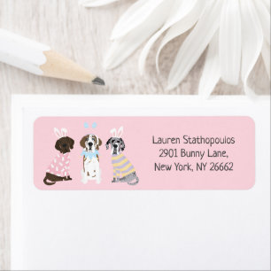 Postcard Return Address Label