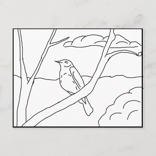 Postcard - Robin to Colour (Front)