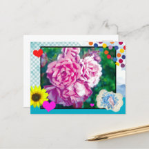 Postcard Rose