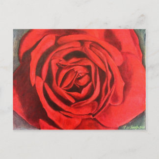 Postcard - Rose
