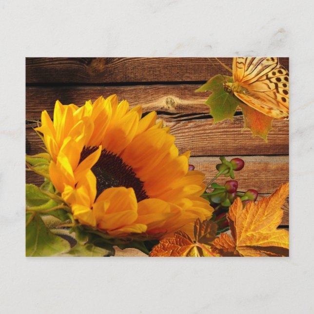 Postcard, Rustic Country Fall Sunflower Butterfly Postcard (Front)