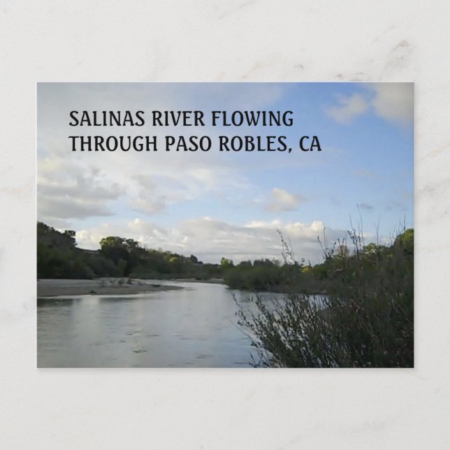 POSTCARD:  Salinas River Flowing in Paso Robles Postcard (Front)