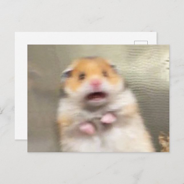 Postcard Scared Hamster Meme (Front/Back)
