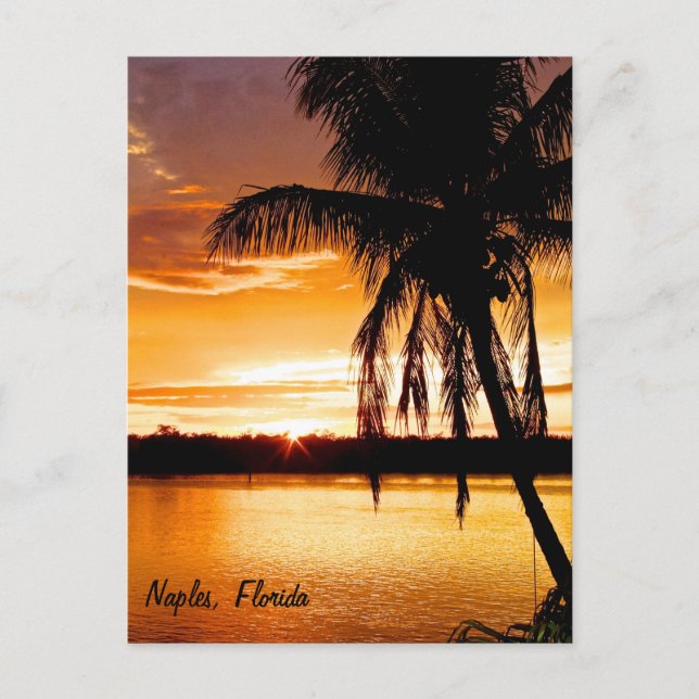 Postcard Silhouette Palm Tree, Orange Sunset Sky (Front)