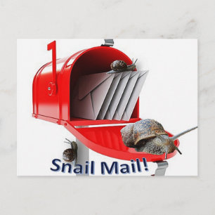 Postcard Snail Mail
