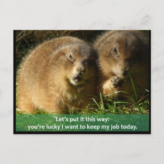 Postcard: Snarky Prairie Dogs Postcard