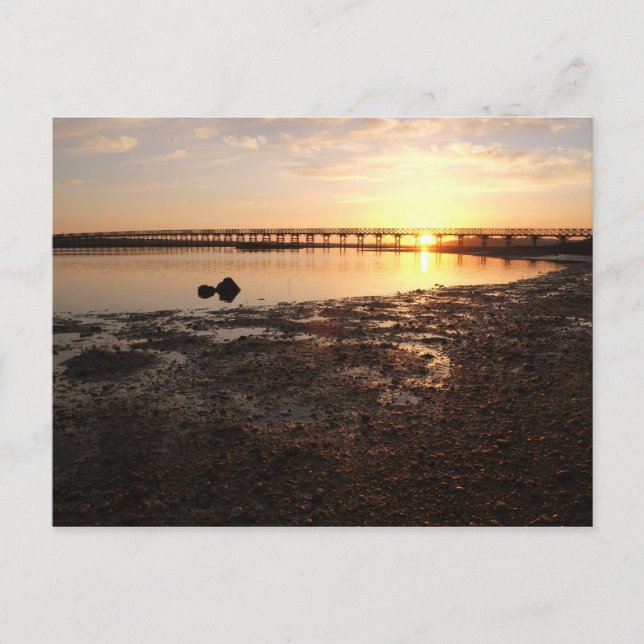 Postcard: Sunset in Quinta do Lago. Portugal Postcard (Front)