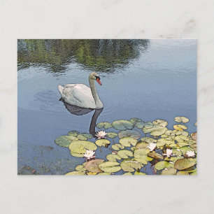 postcard, "SWAN GLIDING AMONG LILY PADS" Postcard