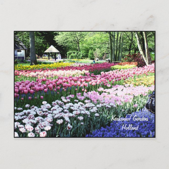 Postcard Template, floral gardens (Front)