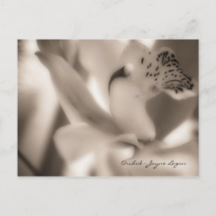 Postcard Template - Sepia Orchid (Photography)