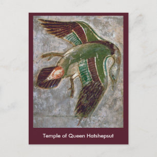 Postcard: Temple of Queen Hatshepsut Postcard