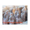POSTCARD - Terracotta Warriors Xián China