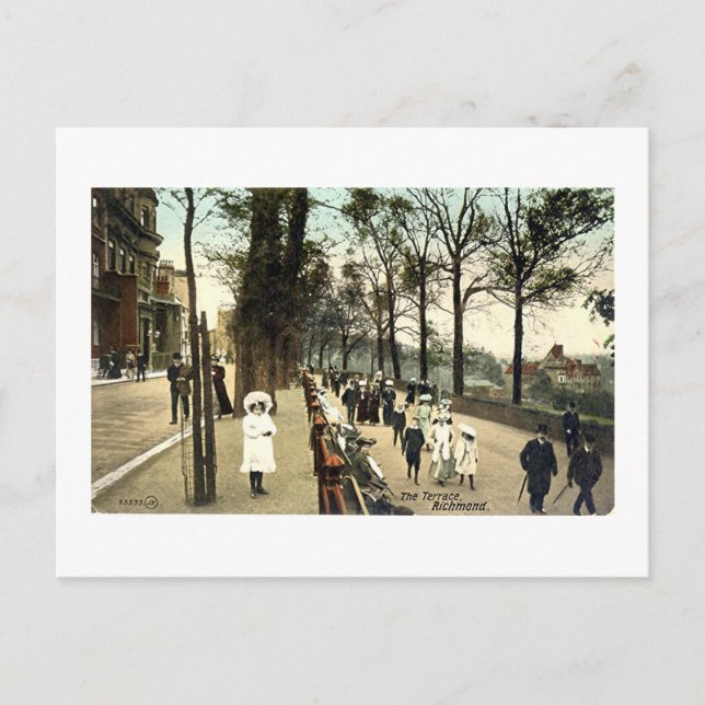 Postcard, The Terrace, Richmond, Surrey Postcard (Front)