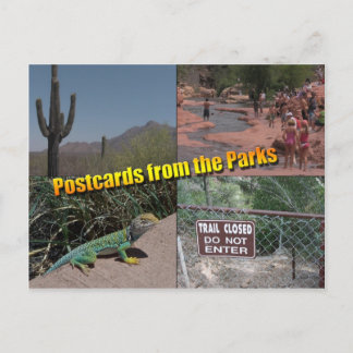 Postcard to the Senate