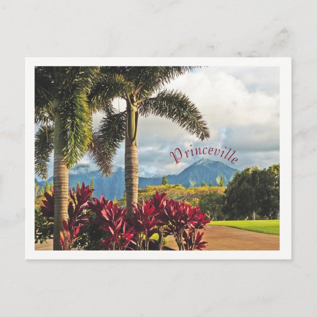 postcard/"Tropical Paradise"/Princeville, Kauai Postcard (Front)