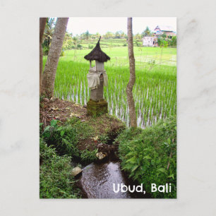 Postcard Ubud Bali Indonesia rice field Temple
