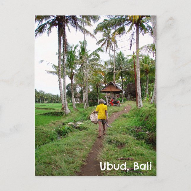 Postcard Ubud Bali Indonesia rice fields man (Front)