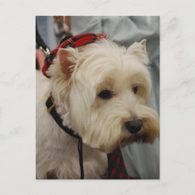 Postcard Vertical Template - Customised (Front)