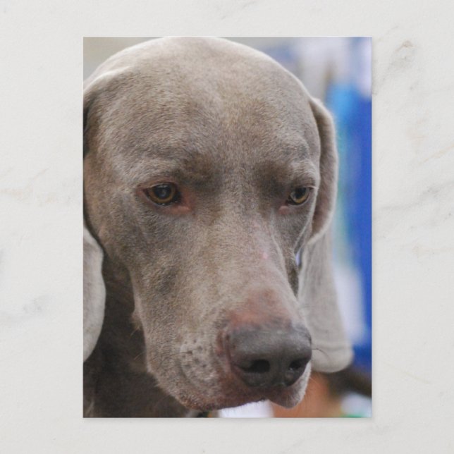 Postcard Vertical Template - Customised (Front)