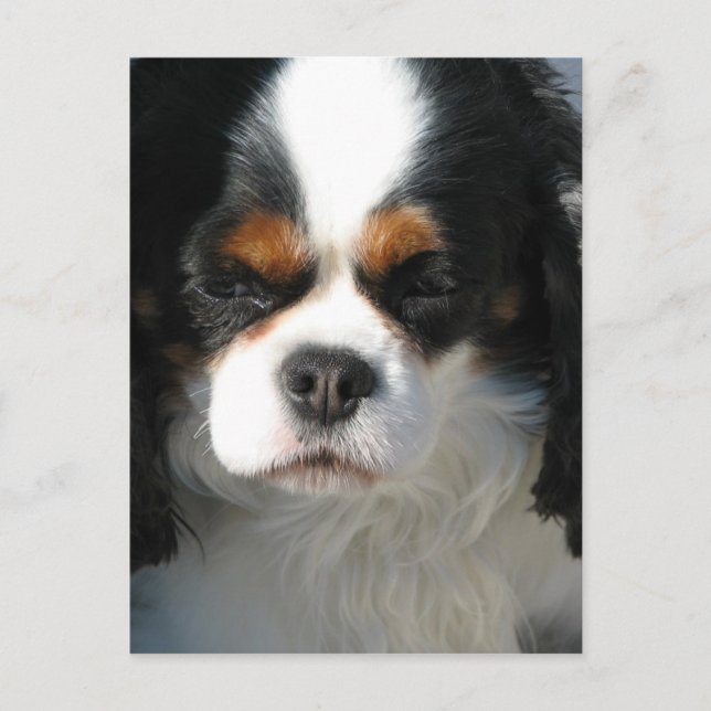 Postcard Vertical Template - Customised (Front)