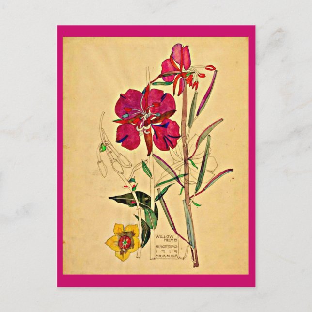 Postcard-Vintage Art-Charles Rennie Mackintosh 26 Postcard (Front)