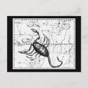 Postcard-Vintage Astrology/Divination 9 Postcard