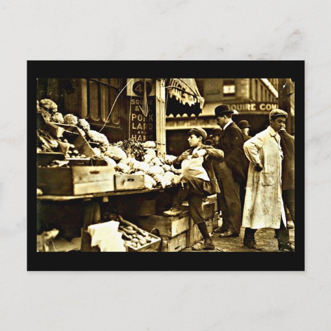 Postcard-Vintage Boston Photography 4 Postcard (Front)