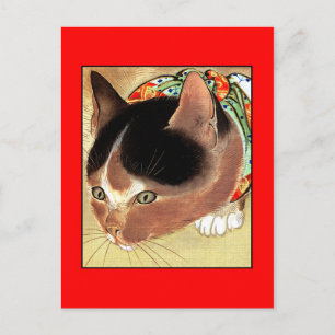 Postcard: Vintage Cat Art: "Curious Kitty Cat" Postcard